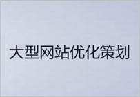 大型網(wǎng)站優(yōu)化方案