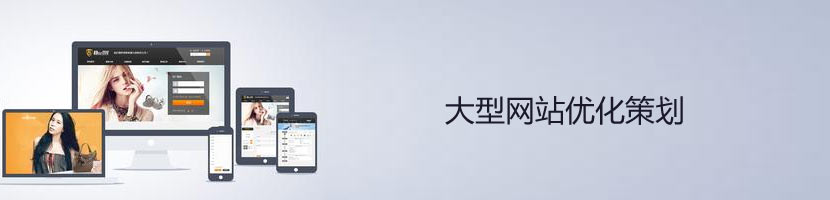大型網(wǎng)站優(yōu)化方案介紹